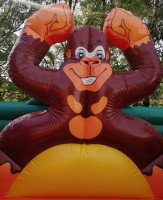 /album/fotogalerie-centrum-safari-8m-s-x-6m-d-x-3-44m-v/safari-gorila-jpg1/